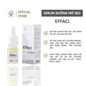 EFFACI